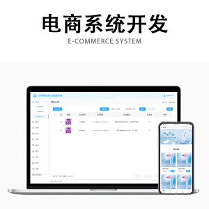 电商系统开发